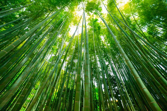 Yokohama and Kamakura Private Day Trip from Tokyo - Sankeien Gardens: the pause button your schedule needed