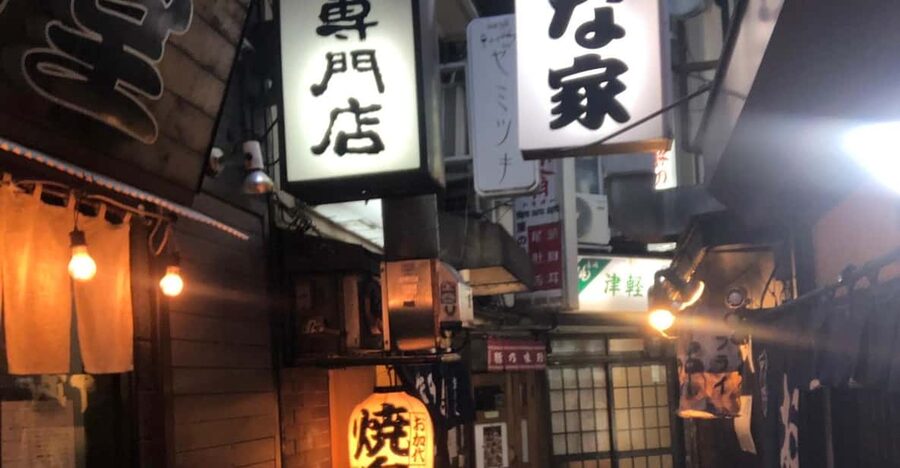 Yokohama Half Day Tour with a Local Expert Guide - Key Things You’ll Notice Right Away