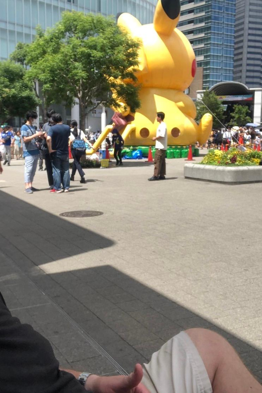 Yokohama Half Day Tour with a Local Expert Guide - What the Local Expert Guide Adds Beyond the Sights
