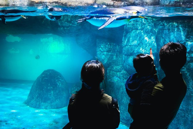 Yokohama Like a Local: Private & Personalized Experience 2,3 hrs - Why Yokohama works best with a private host