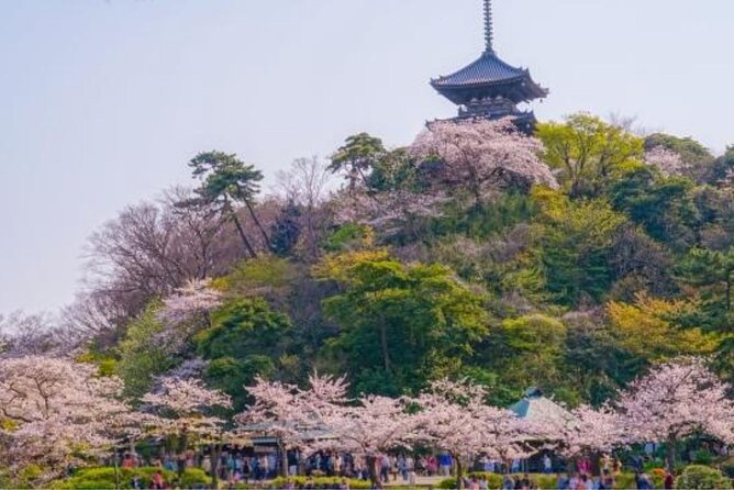 Yokohama Like a Local: Private & Personalized Experience 2,3 hrs - Getting oriented at Sakuragicho, so you don’t waste the trip